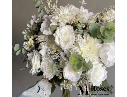 Menna Habib Roses